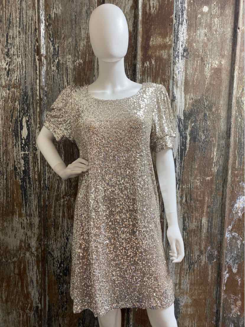 Cable & Gauge Size Large Silver Sequin Dress