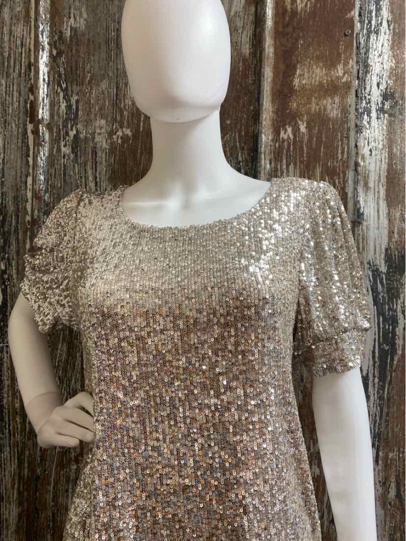Cable & Gauge Size Large Silver Sequin Dress