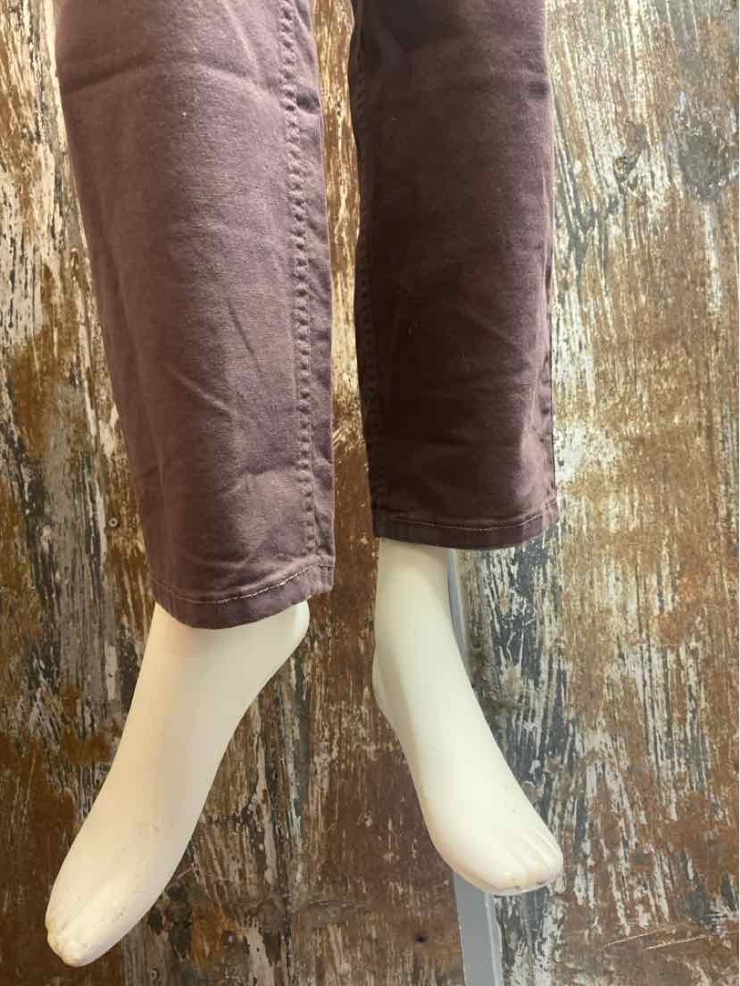 Toad & Co. Size 14 Brown Pants