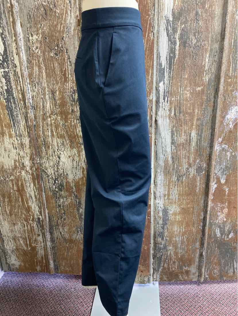 Ministry of Supply Size 16 Navy Pants
