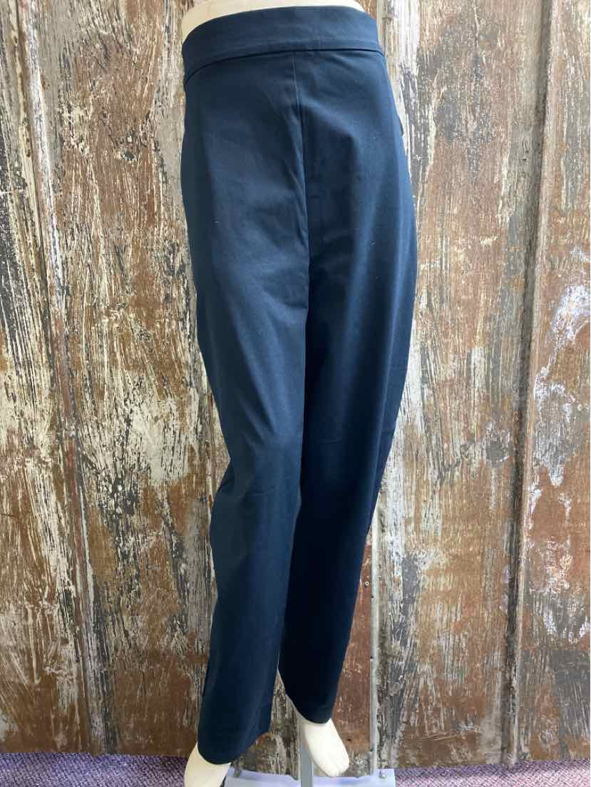 Ministry of Supply Size 16 Navy Pants