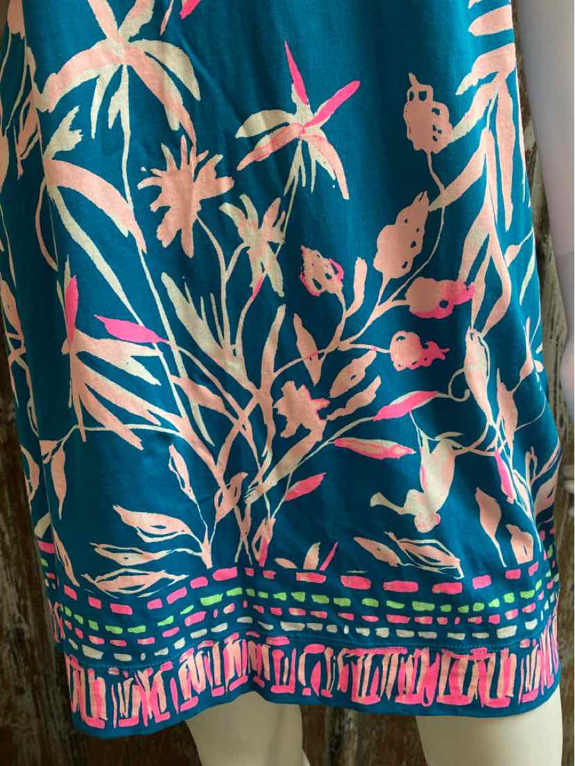 Lilly Pulitzer Size small Blue & Pink Print Dress