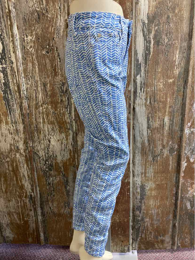 Vineyard Vines Size 2 Blue Print Pants