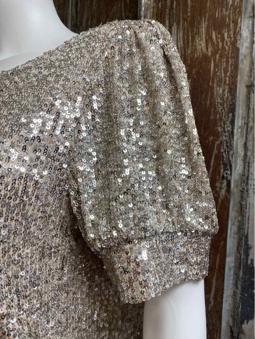 Cable & Gauge Size Large Silver Sequin Dress