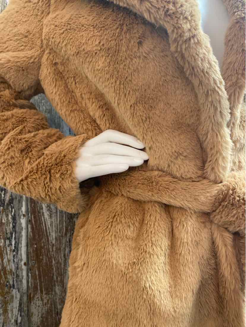Express Size small Brown Winter Coat