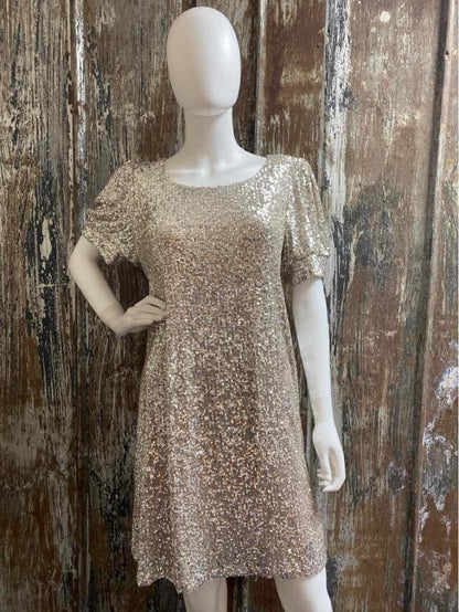 Cable & Gauge Size Large Silver Sequin Dress