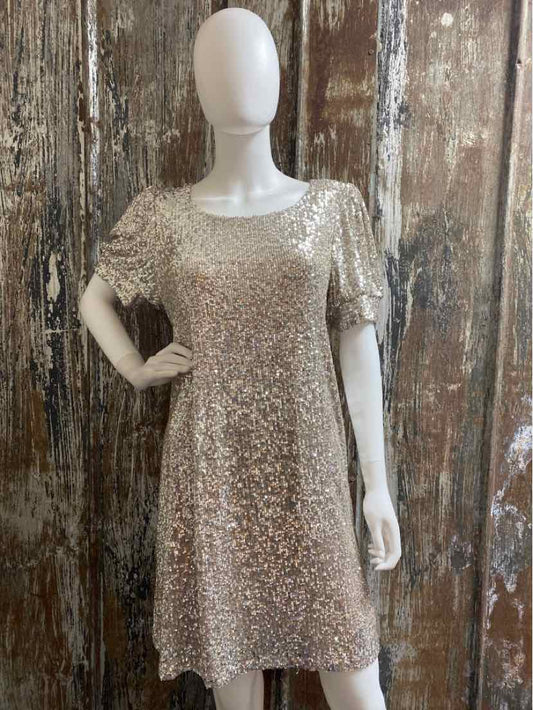 Cable & Gauge Size Large Silver Sequin Dress