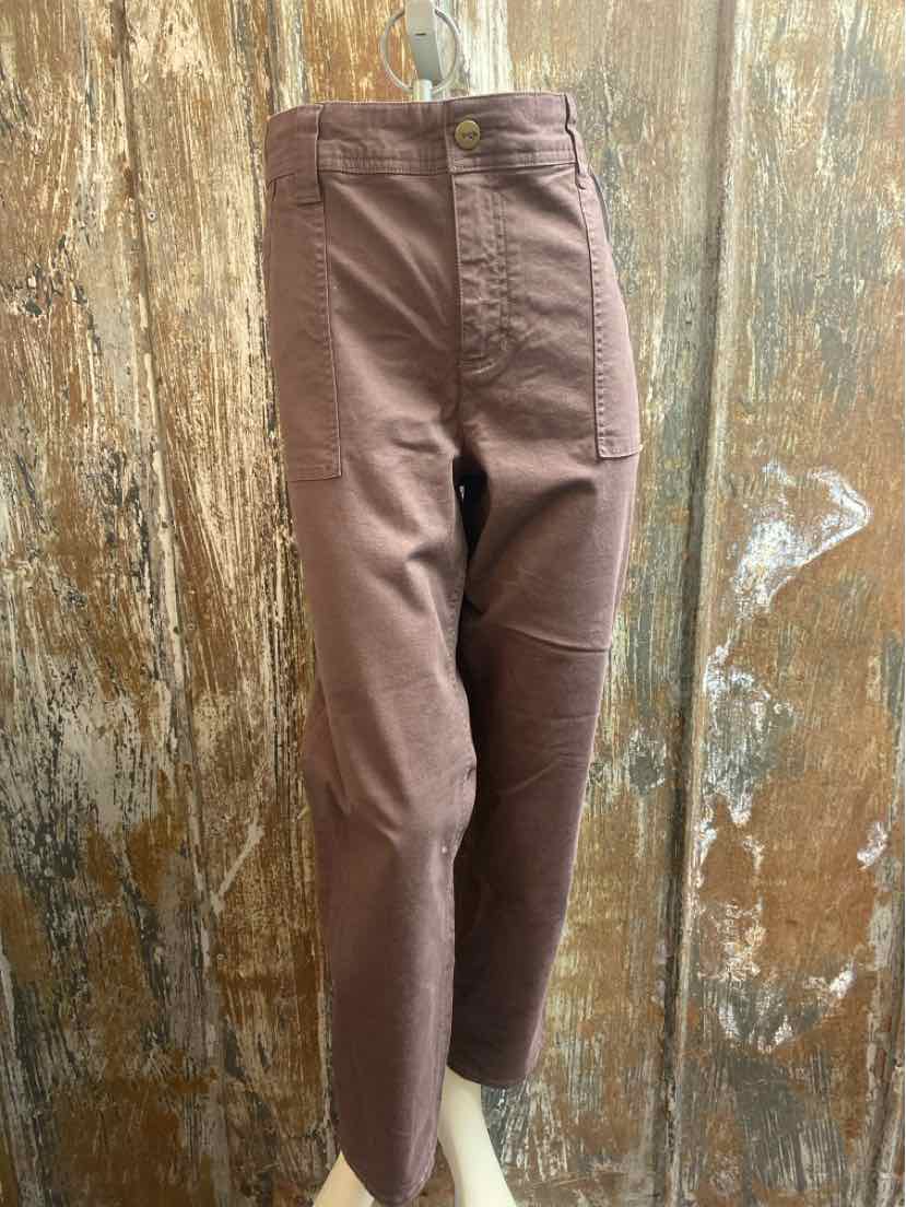 Toad & Co. Size 14 Brown Pants