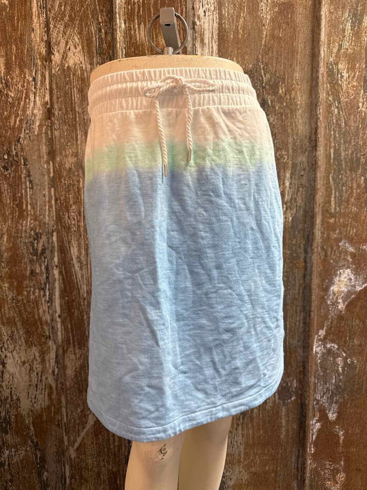 Talbots Size Small (4/6) Blue Skirt