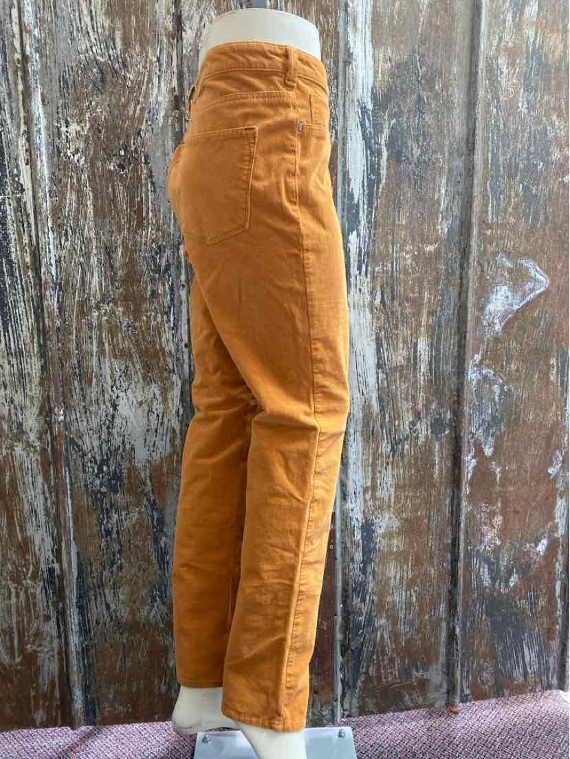 pilcro and the letterpress Size 14 Orange Pants