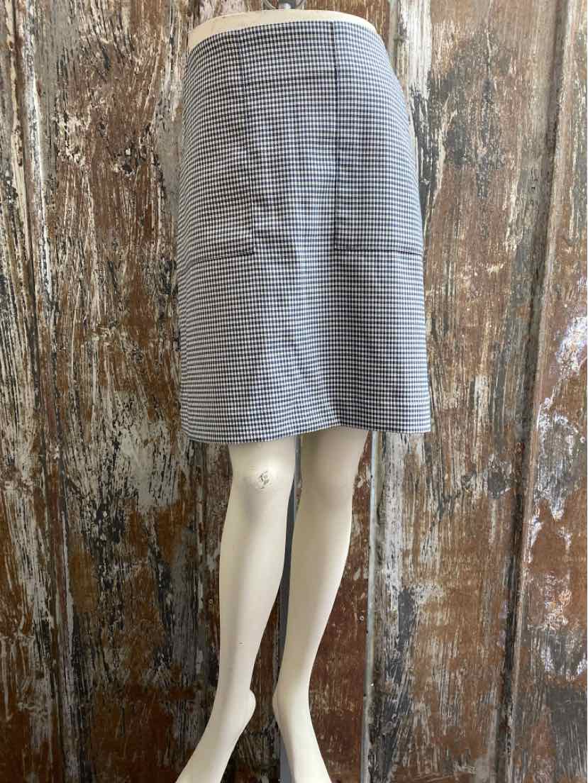 Loft Size 10 petite Blue Check Skirt