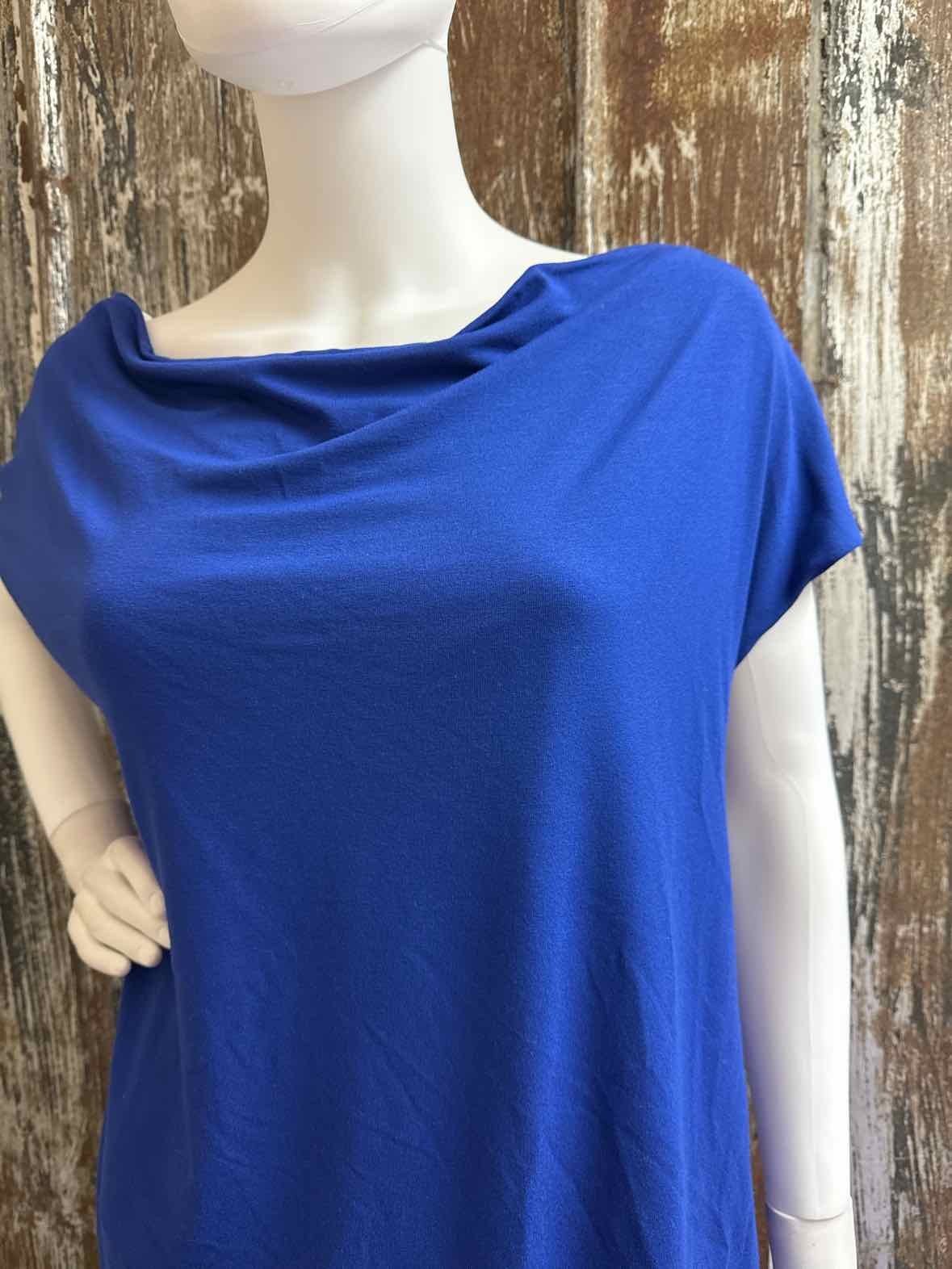 Eileen Fisher Size Large Blue tops