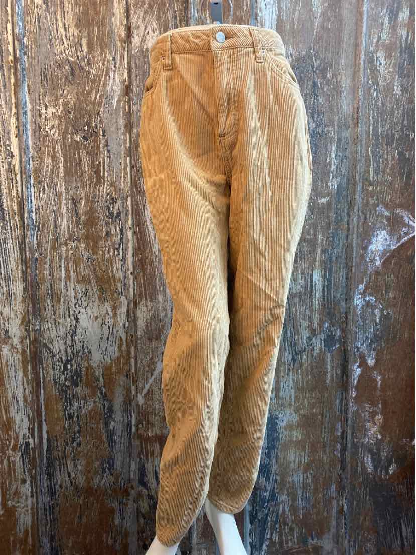 urban outfitters Size 4 Brown Corduroy Pants