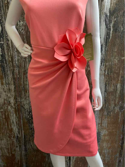 JH Evenings Size 14 (Large) Peach Dress