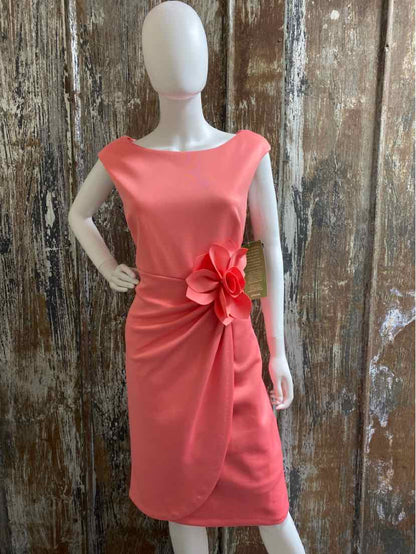 JH Evenings Size 14 (Large) Peach Dress
