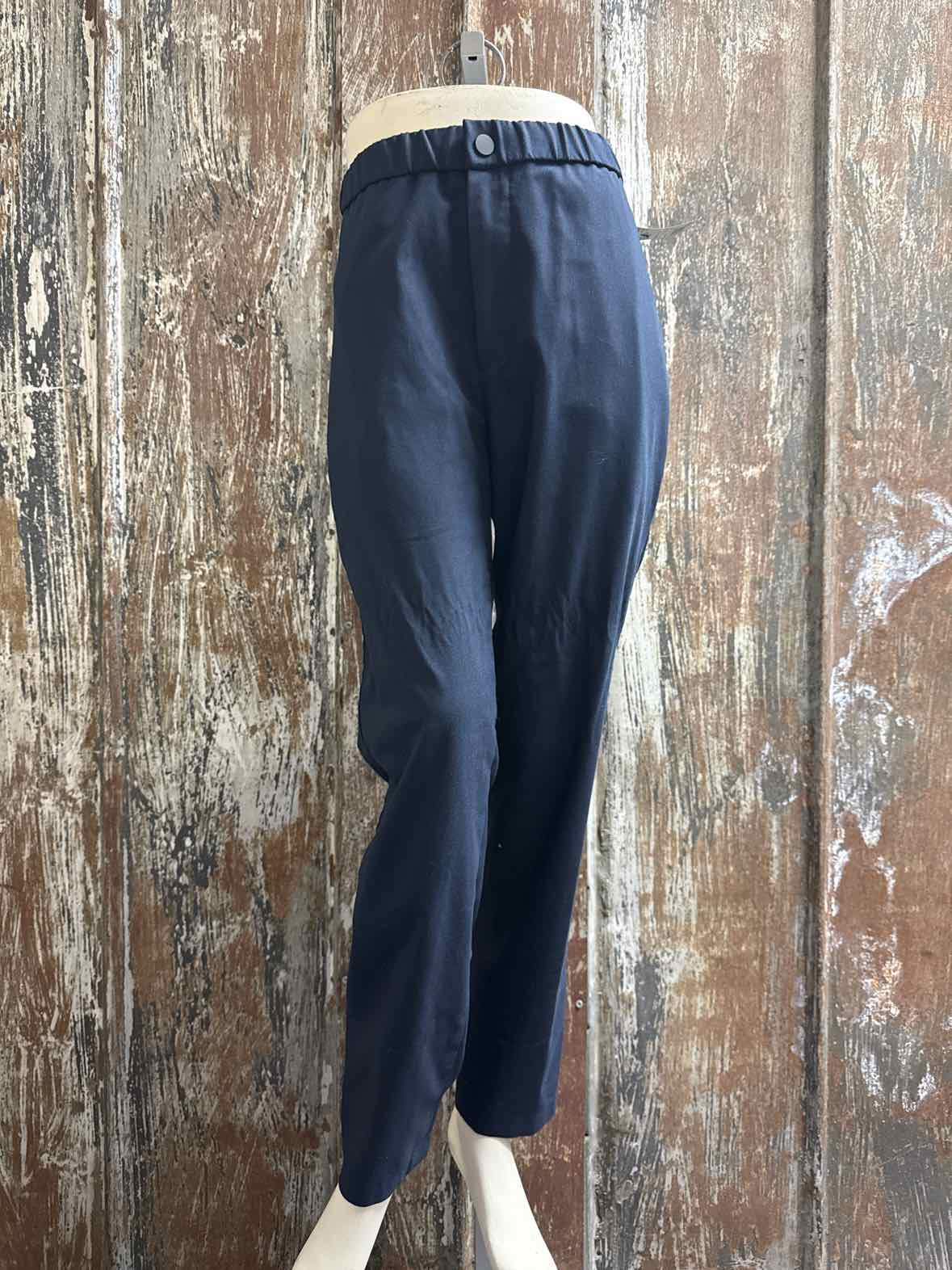theory Size Small (4/6) Navy Pants