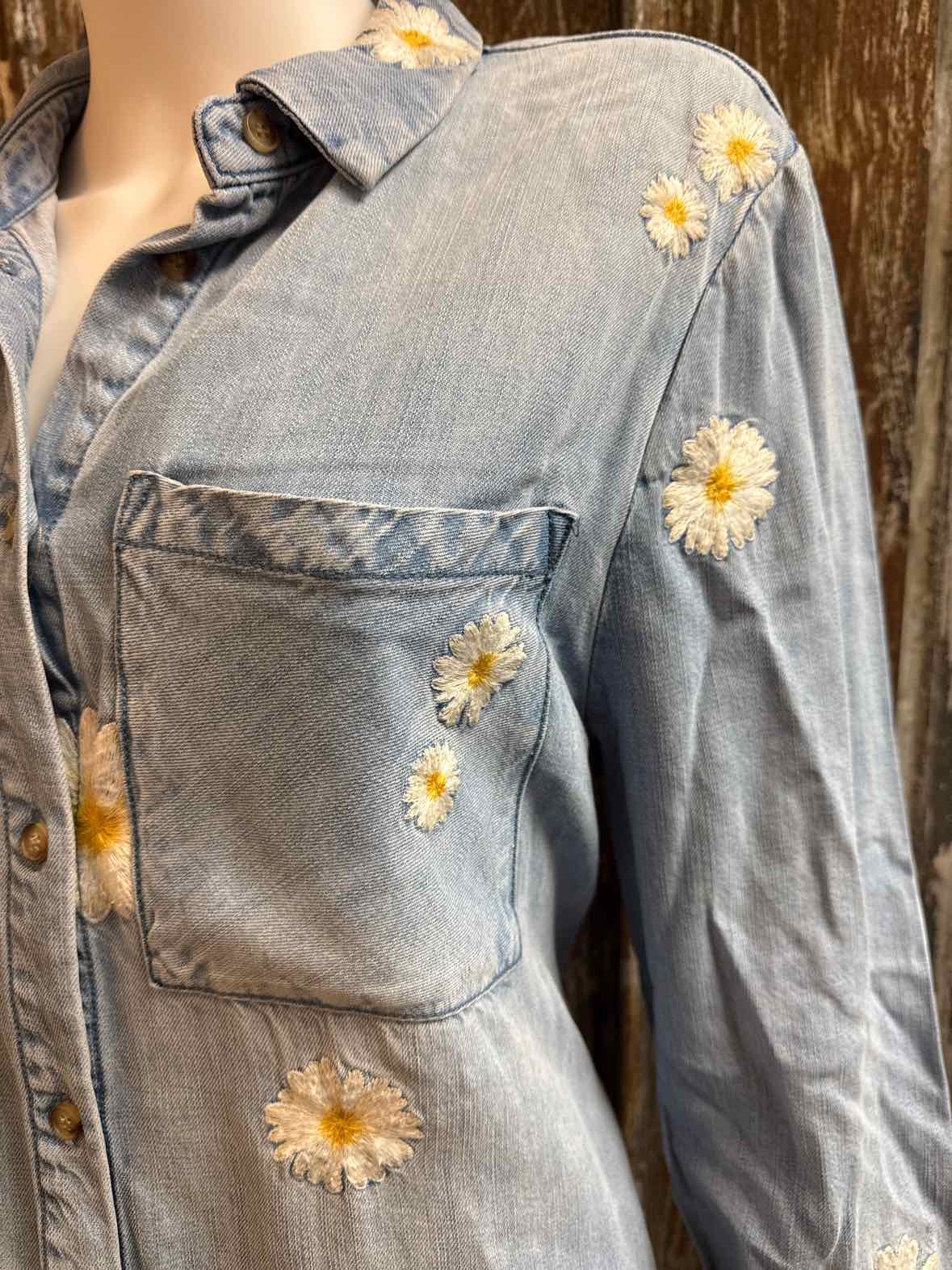 Driftwood Size 1X Denim Dress