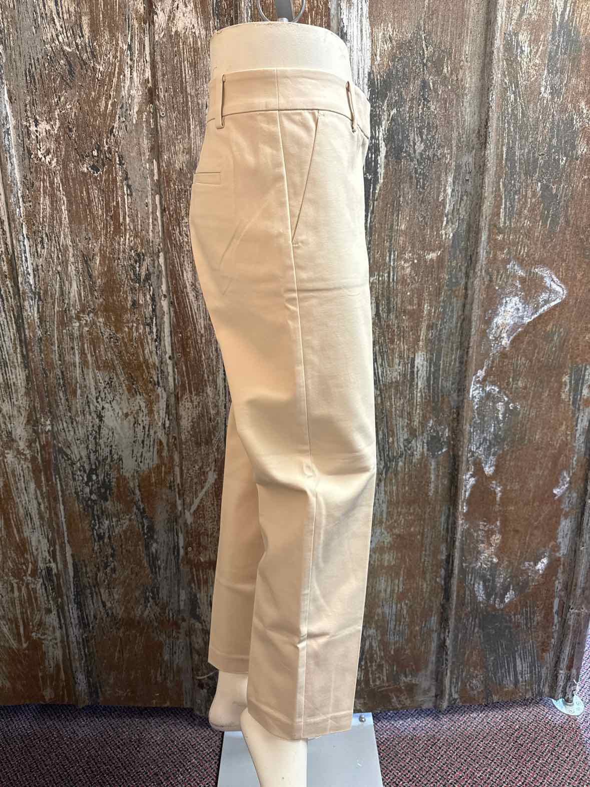 Loft Size 4 Tan Pants