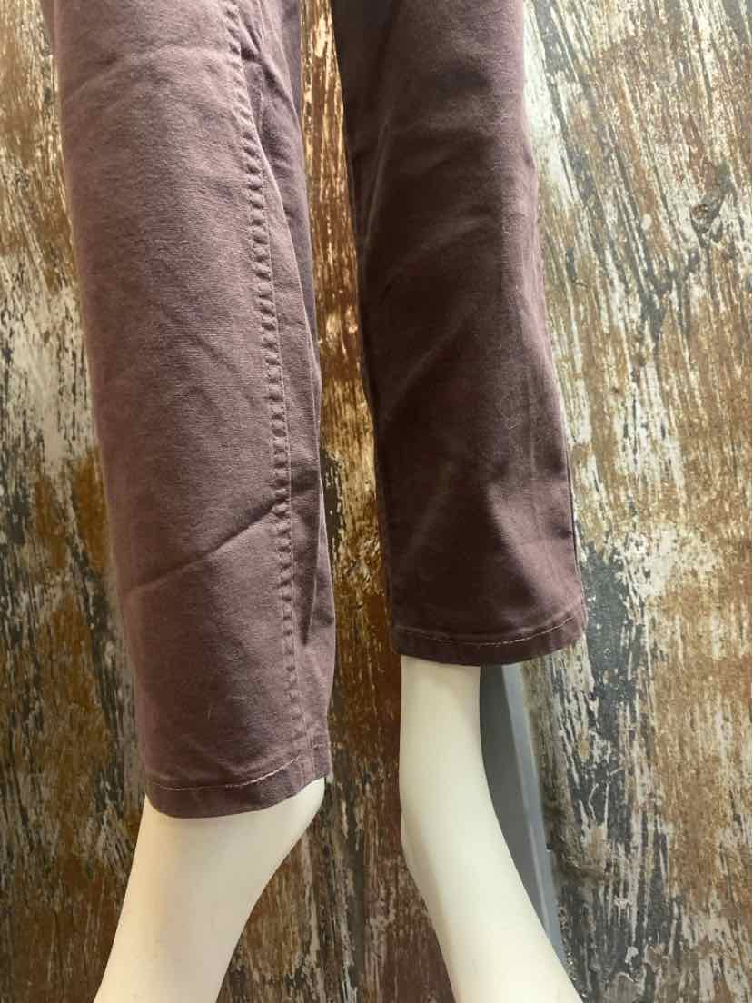 Toad & Co. Size 12 Brown Pants