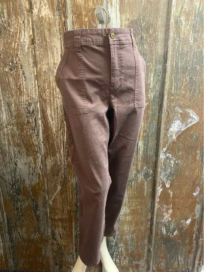 Toad & Co. Size 12 Brown Pants