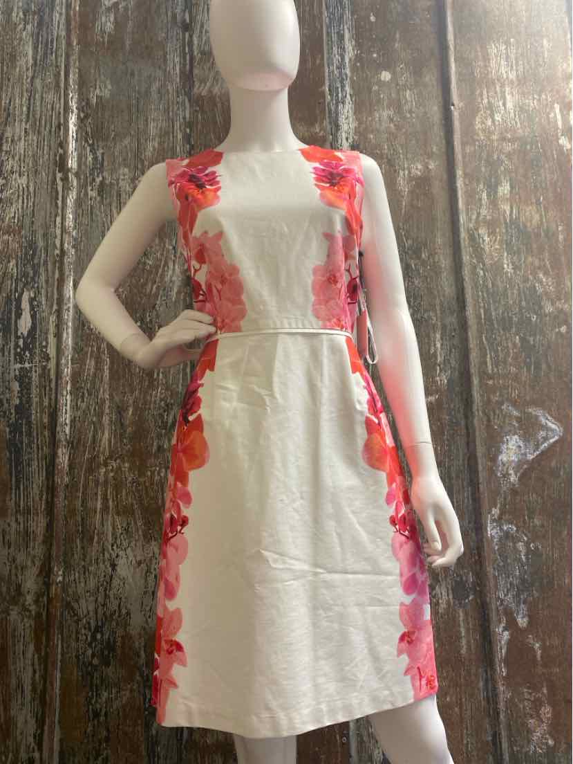 Calvin Klein Size 10 (Medium) pink floral Dress
