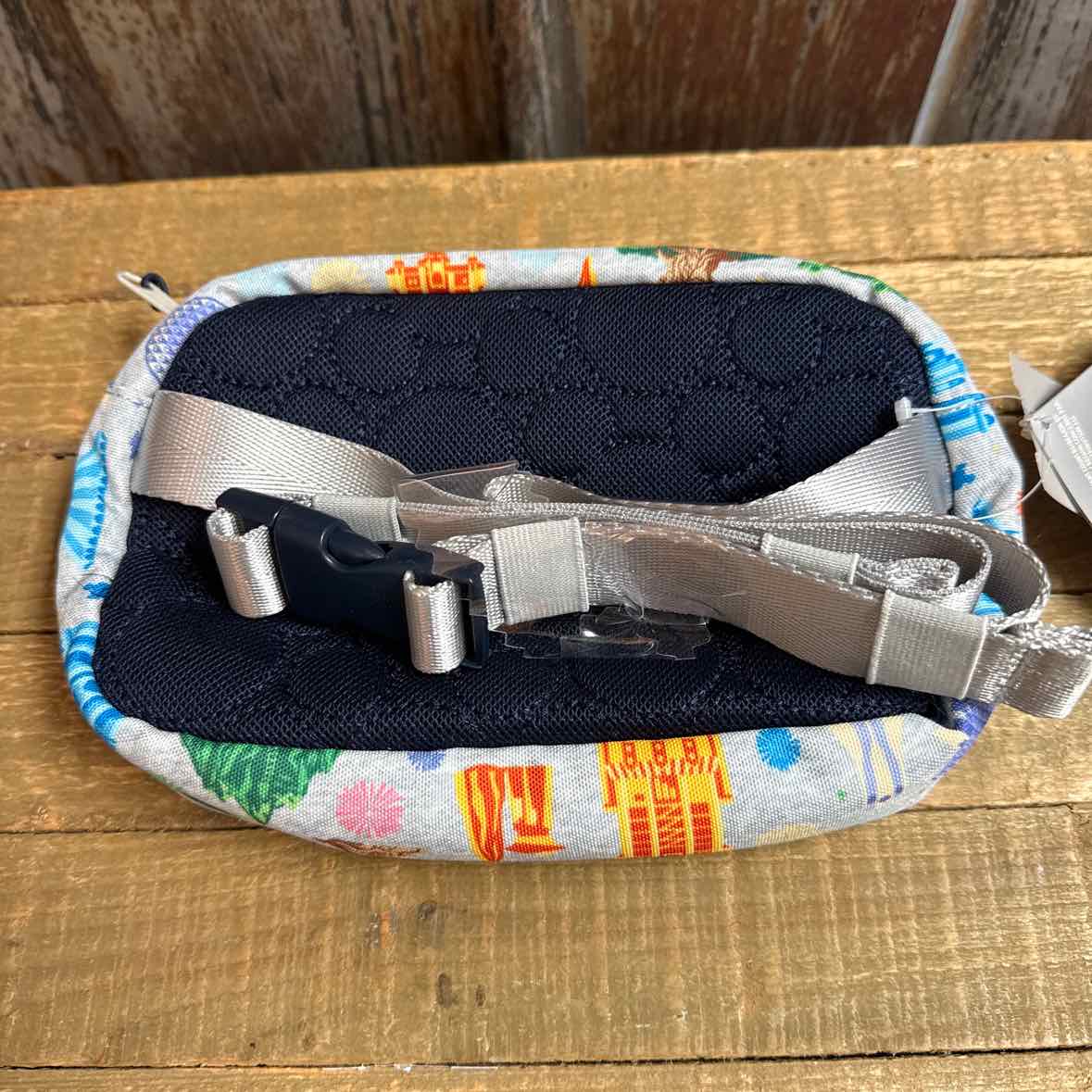 Disney Bump Bag
