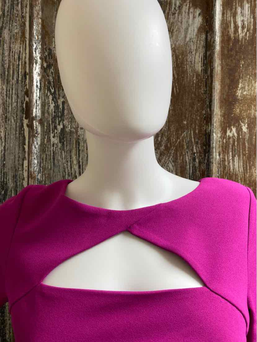 Adrianna Papell Size 8 (Medium) Fuchsia Dress