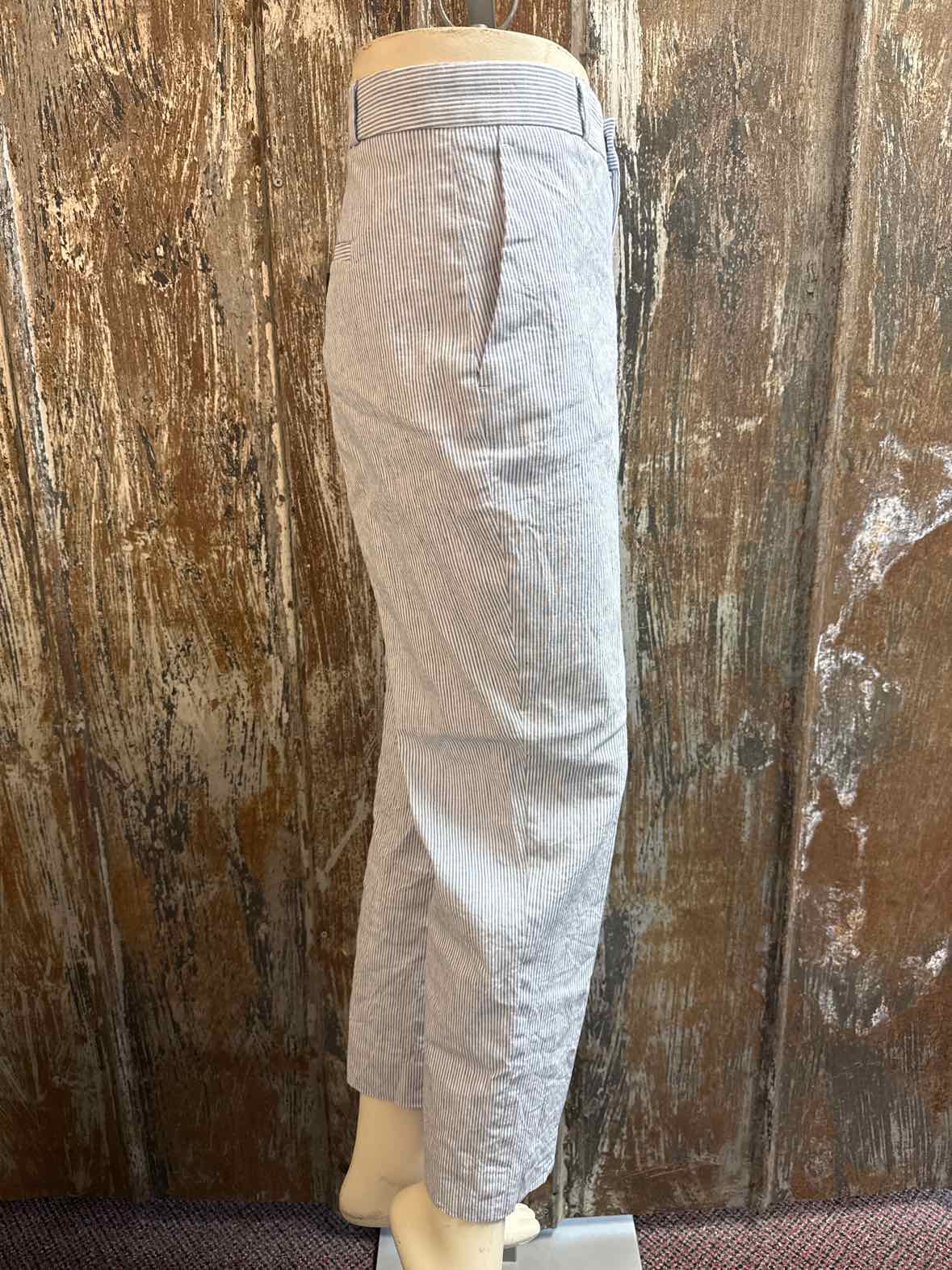 Banana Republic Size 6 blue stripe Pants