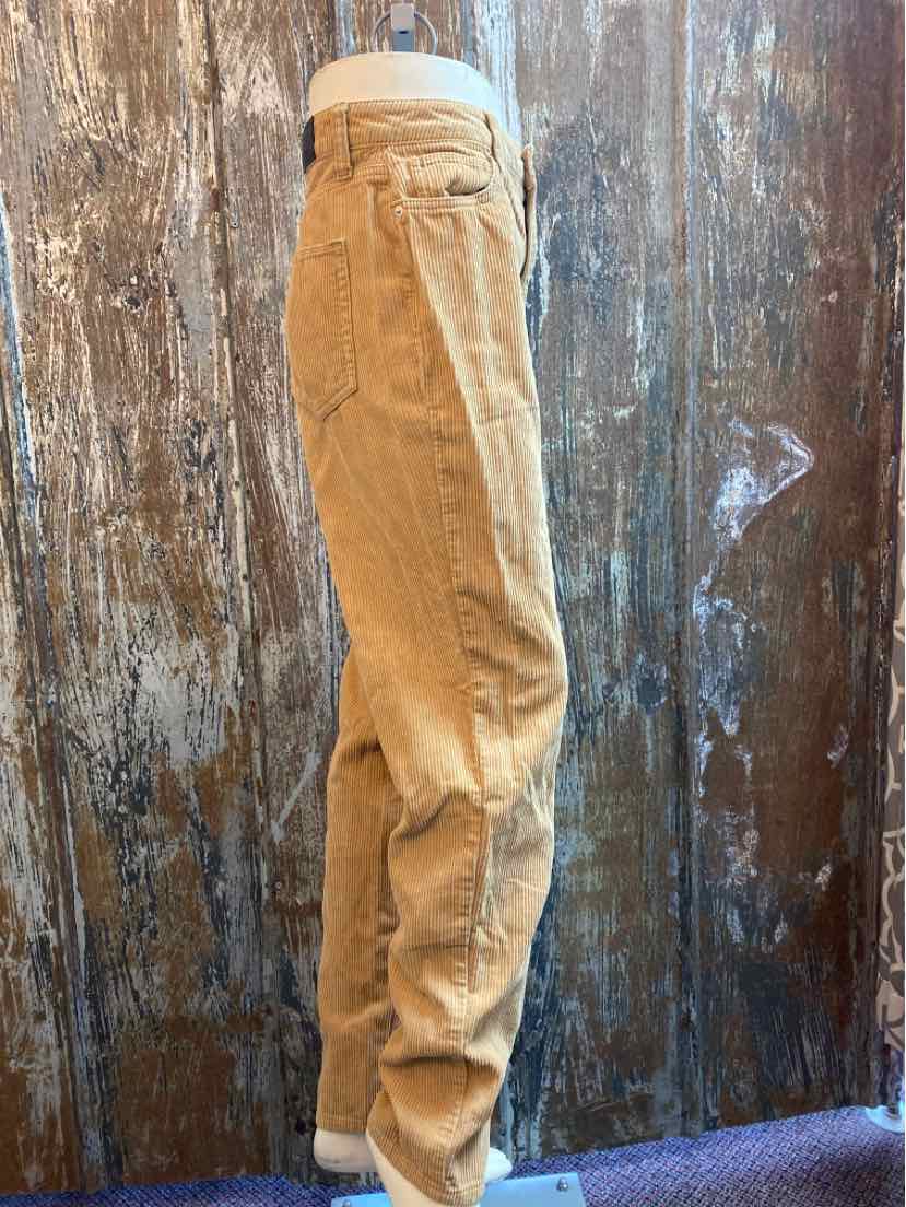 urban outfitters Size 4 Brown Corduroy Pants