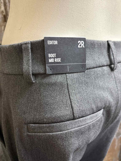 Express Size 2 Gray Pants
