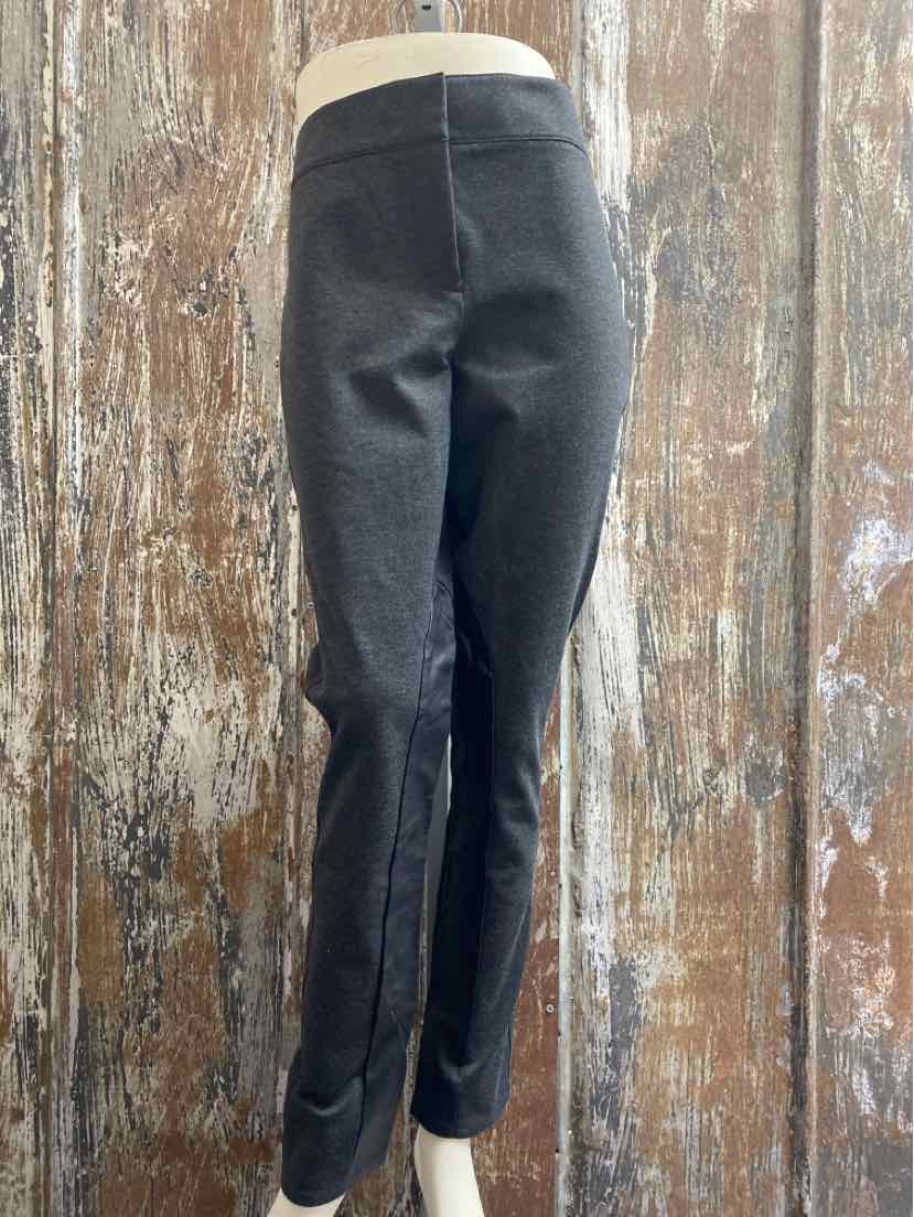 Ann Taylor Size 10 Dark Gray Pants