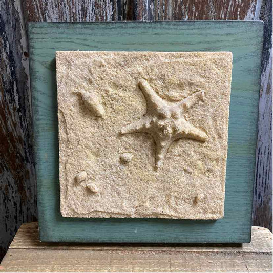 Starfish in the Sand Wall Art