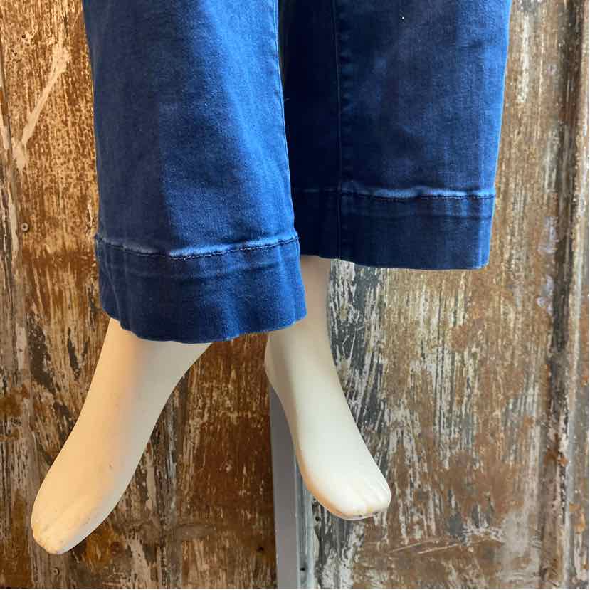 d & co Size 6 Petite Denim Jeans