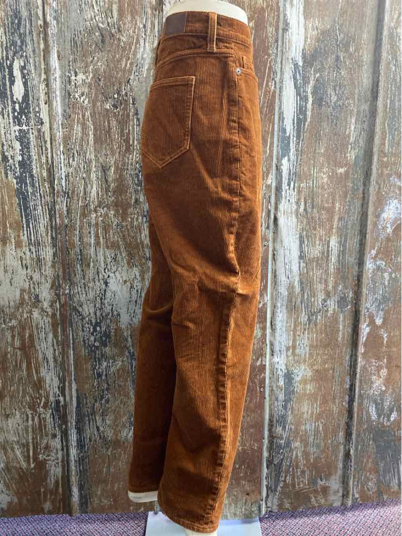 Lands End Size 16 Brown Pants