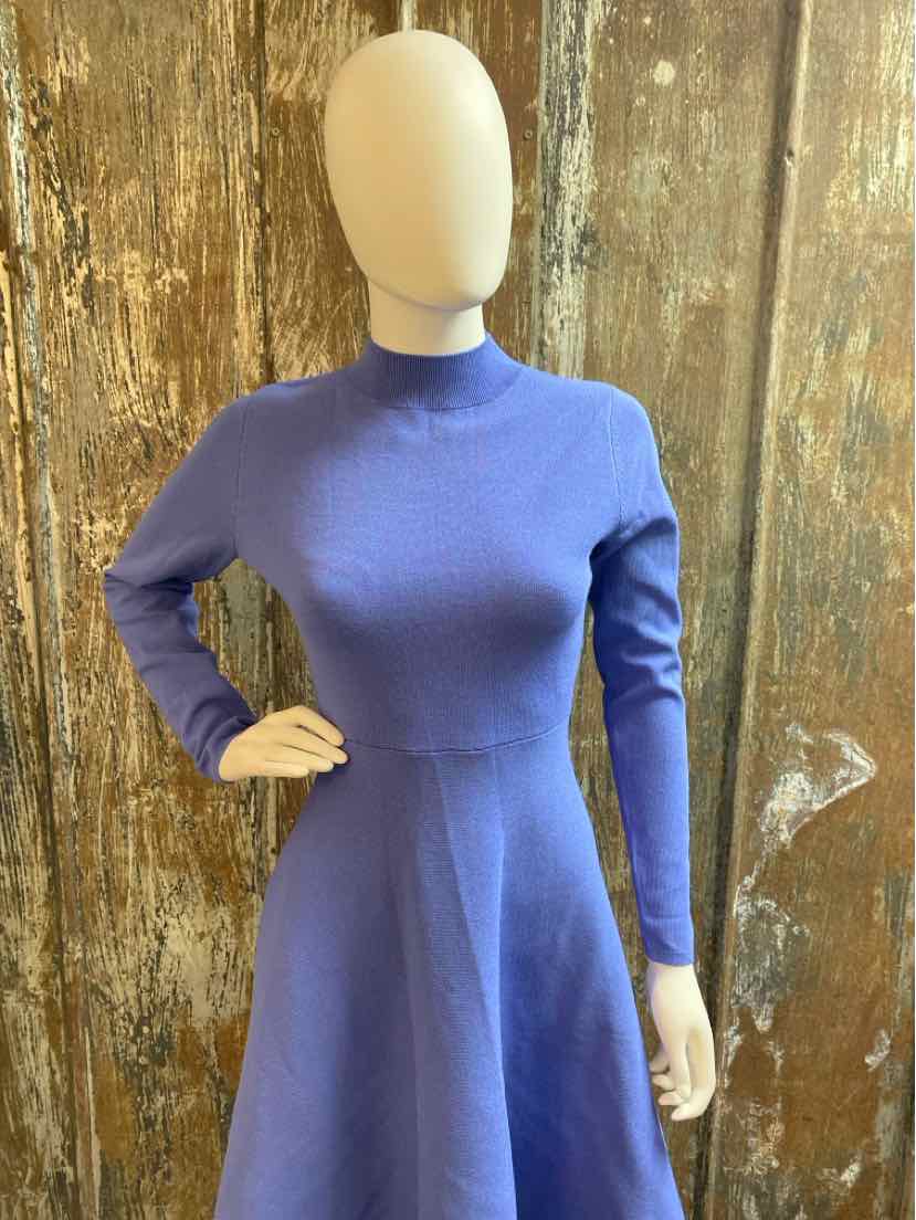 Ann Taylor Size extra small periwinkle Sweater Dress – The Consignment Chick