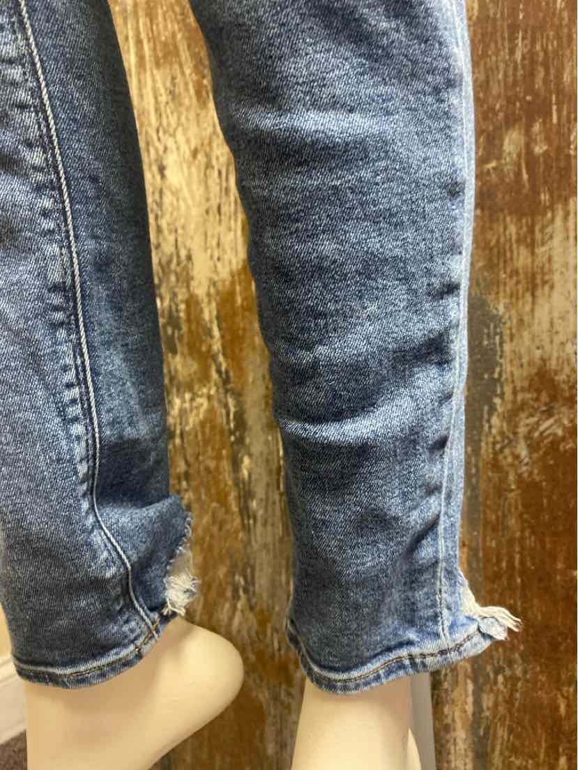 Hudson Size 6 Denim Jeans