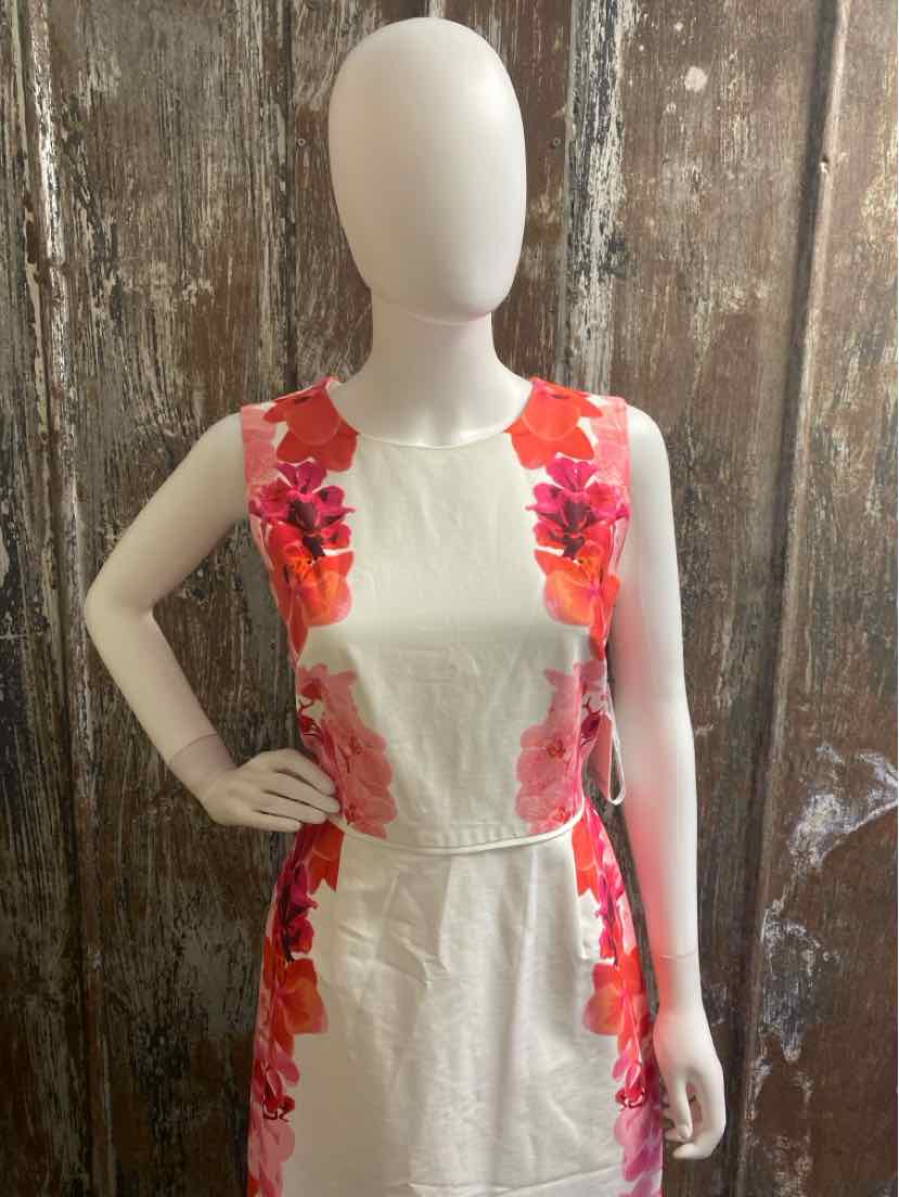 Calvin Klein Size 10 (Medium) pink floral Dress