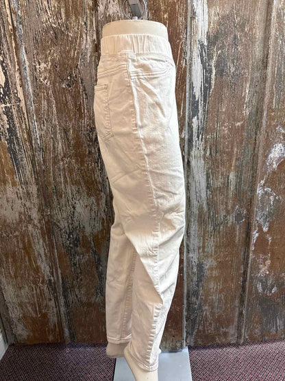Eileen Fisher Size Large (12/14) Cream Pants