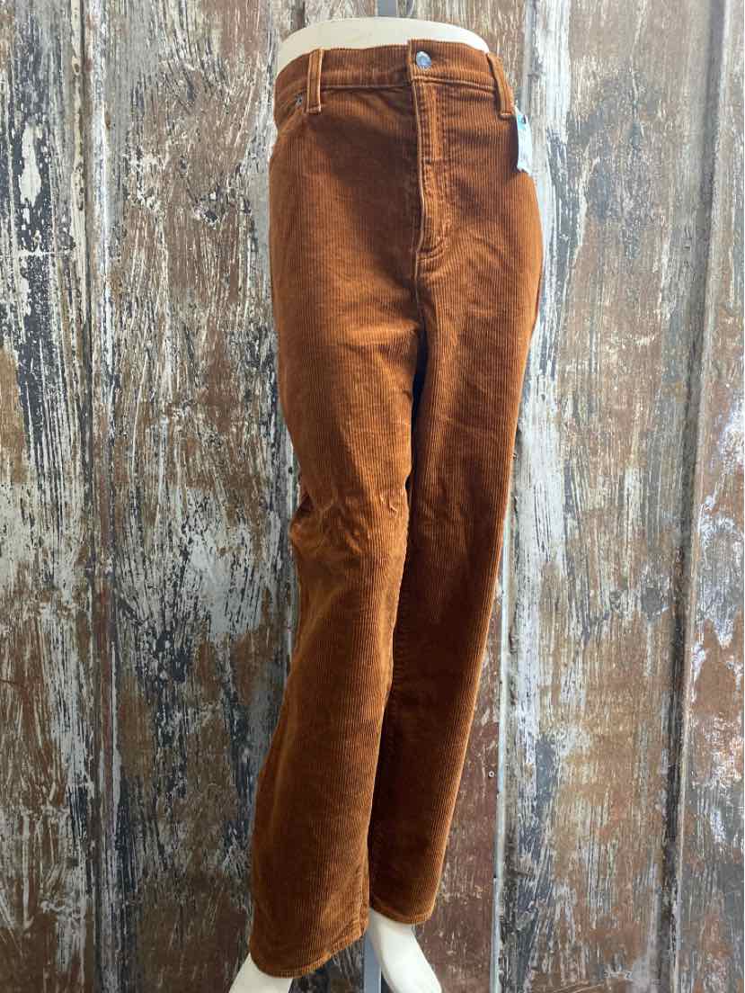 Lands End Size 16 Brown Pants