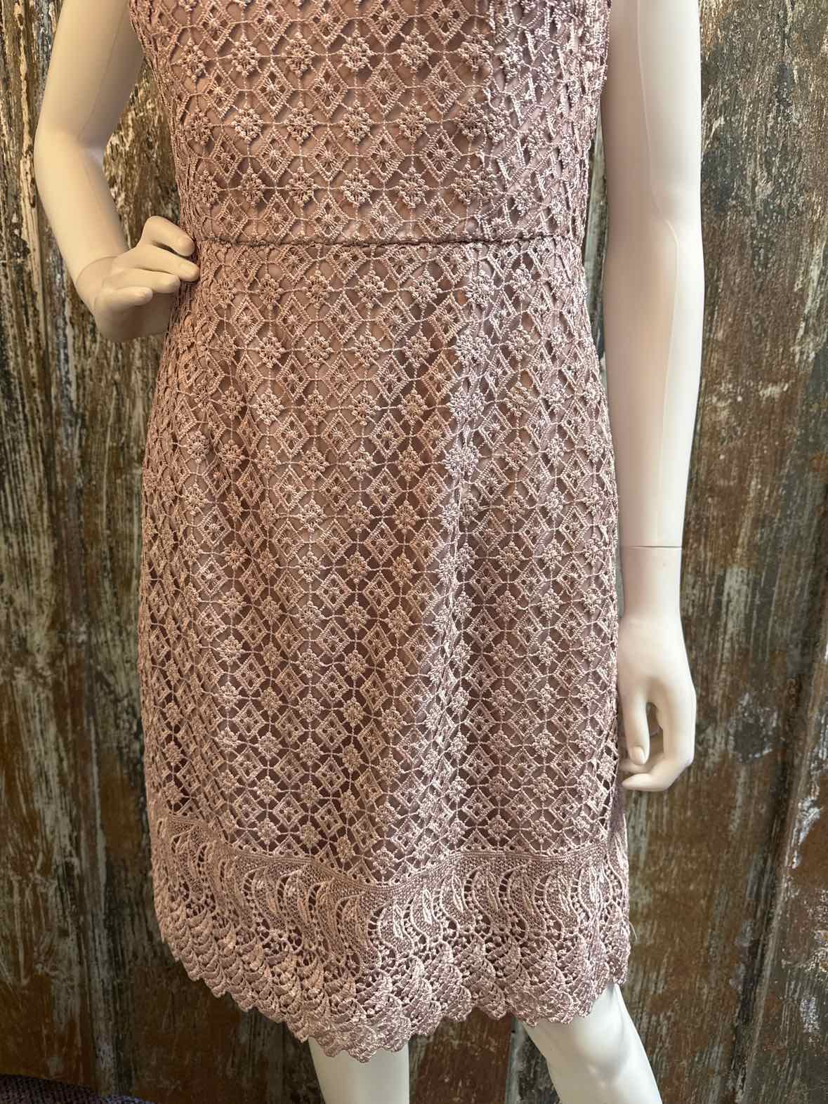 Adrianna Papell Size 8 Petite (Medium) Pink Dress