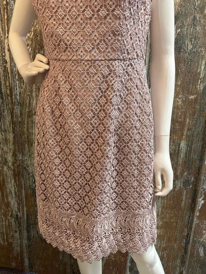 Adrianna Papell Size 8 Petite (Medium) Pink Dress