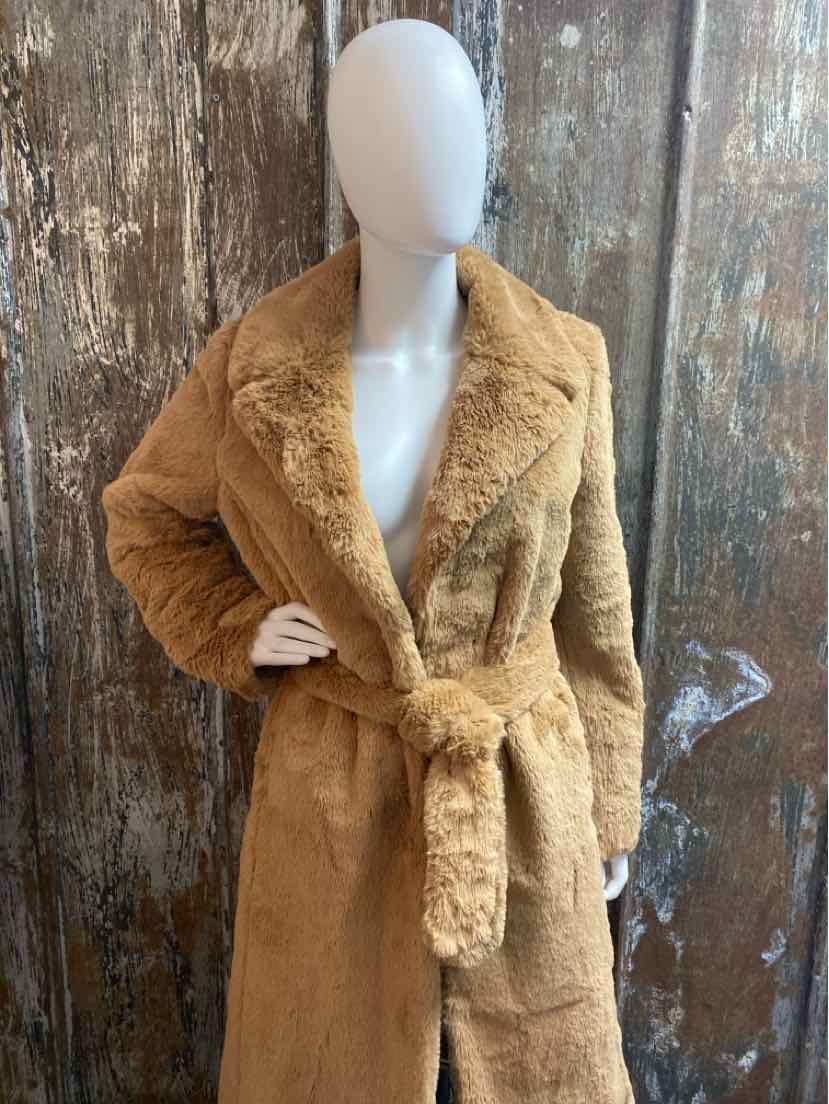 Express Size small Brown Winter Coat