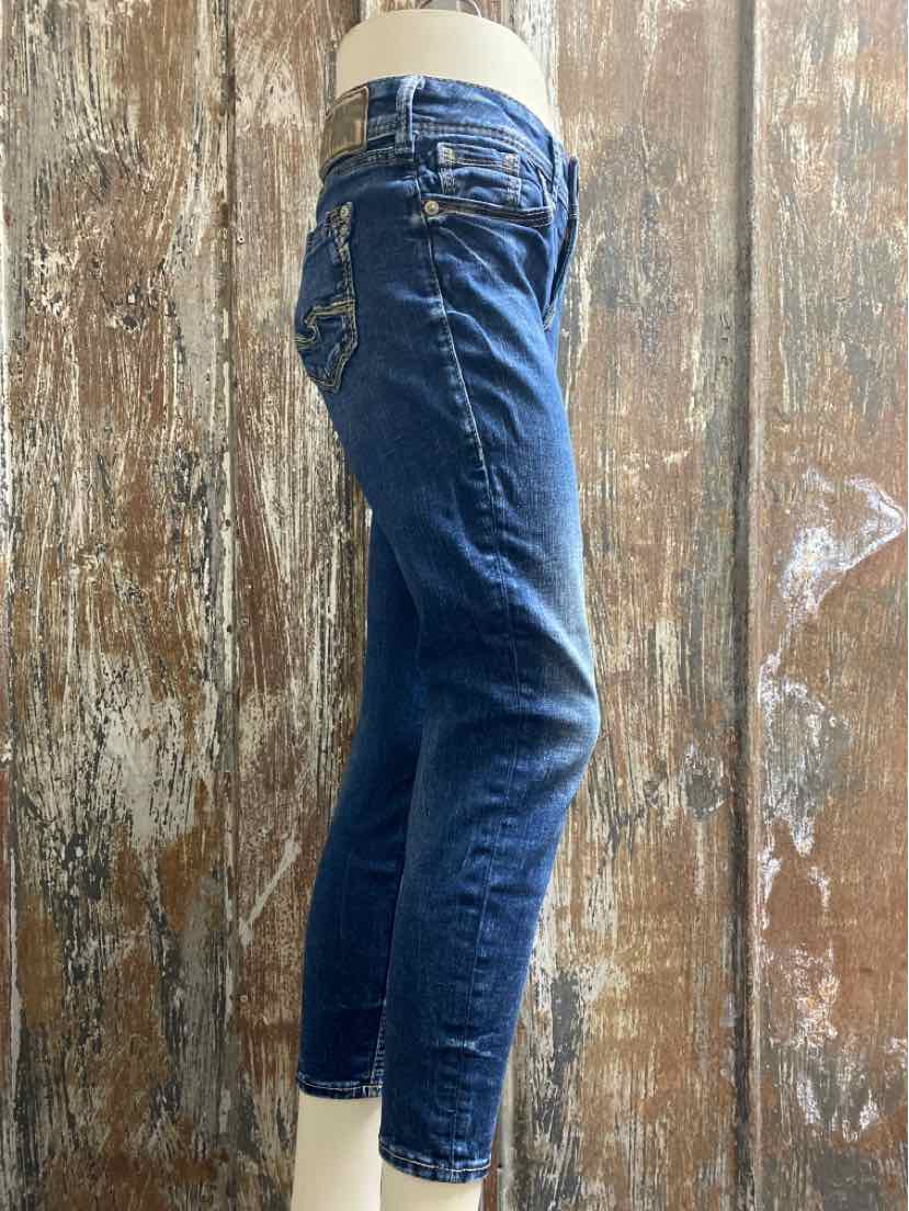 Silver Jean Co. Size 2 Denim Jeans