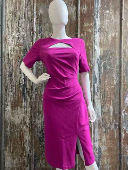 Adrianna Papell Size 8 (Medium) Fuchsia Dress